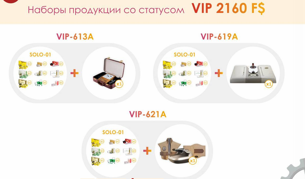 Бизнес-лицензия и варианты входа. Слайд 9