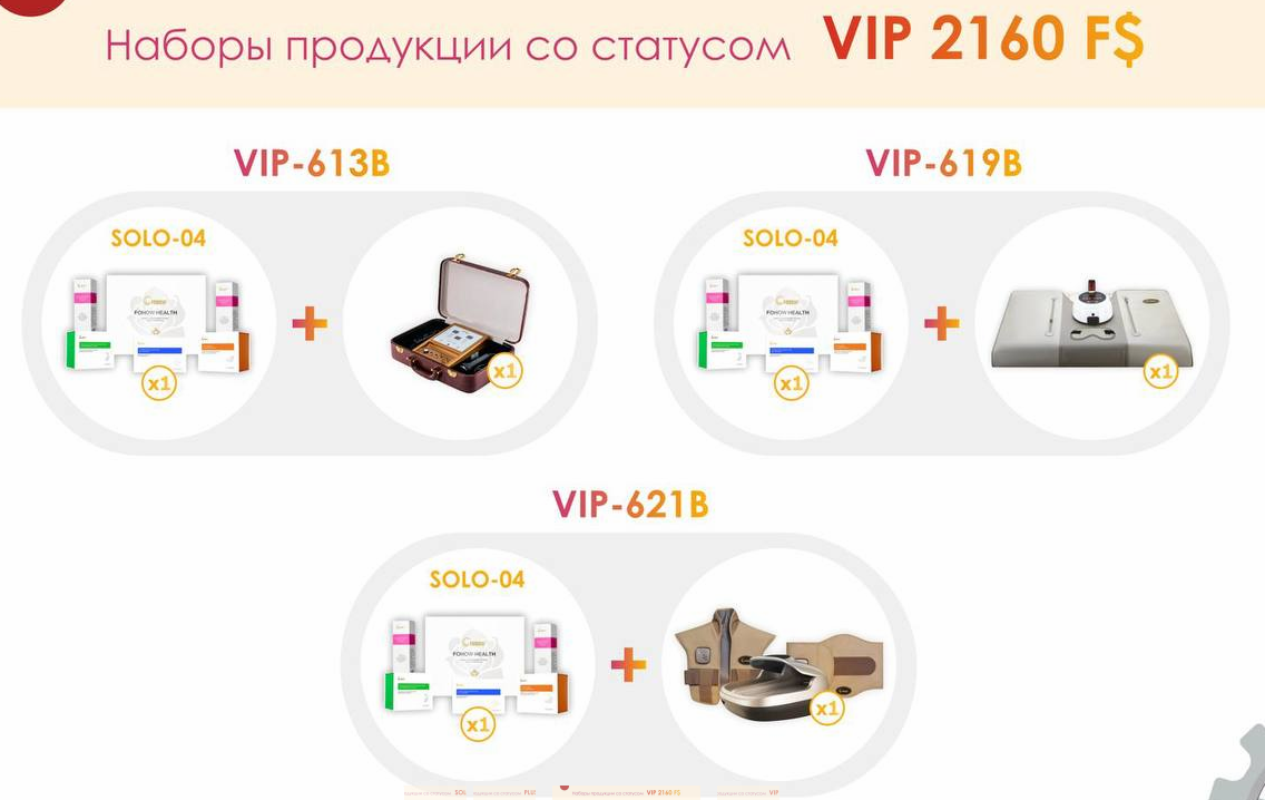 Бизнес-лицензия и варианты входа. Слайд 10