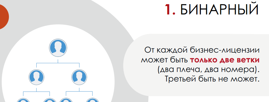 Виды дохода и основной маркетинг. Слайд 13