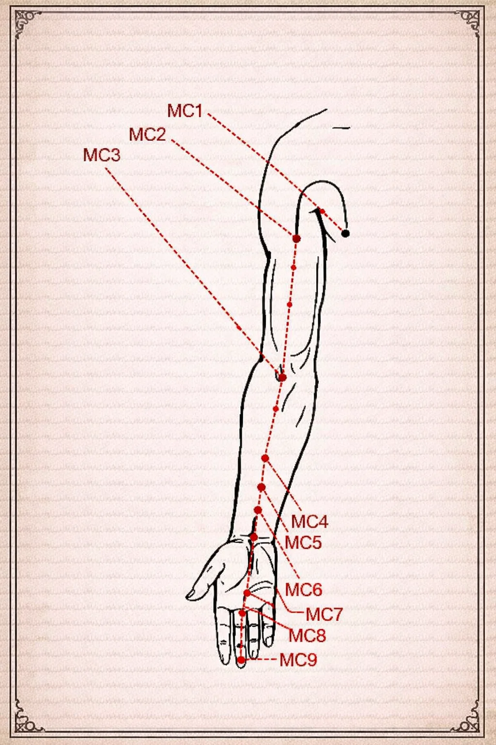 Схема меридиана перикарда с точками MC1-MC9