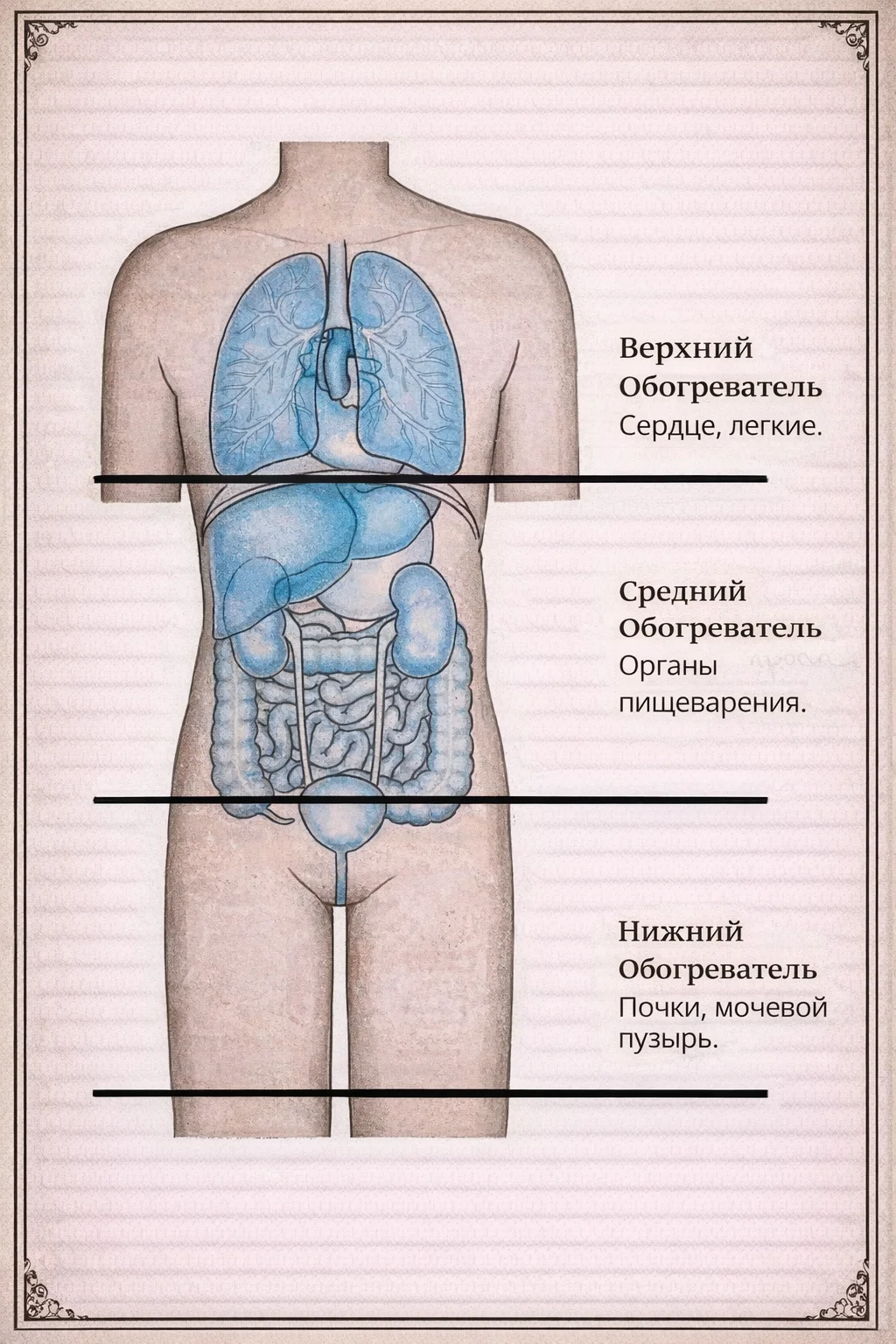 Схема верхнего, среднего и нижнего обогревателя